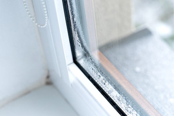 condensation between window panes